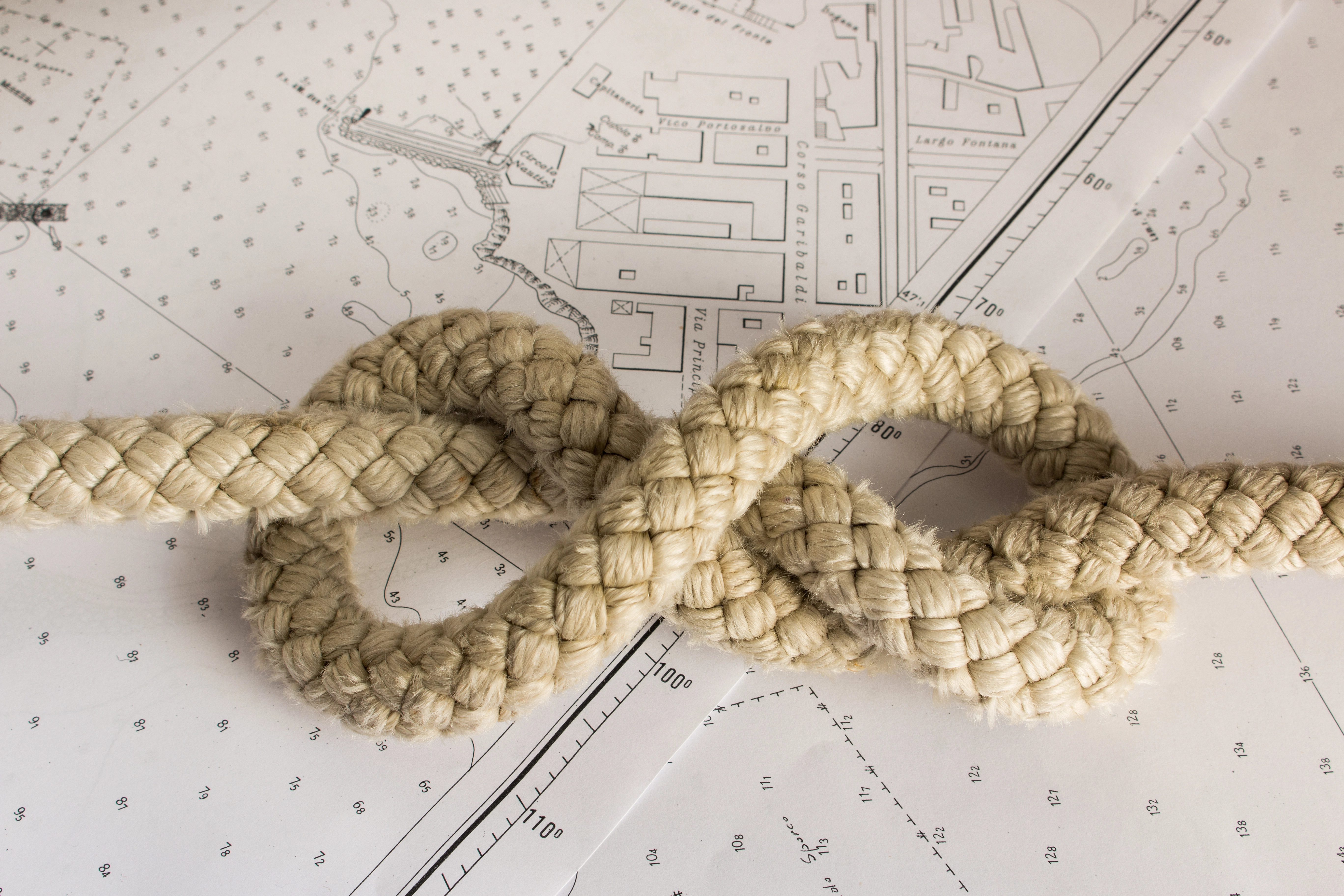 AI Foundations for Life Sciences — A Taxonomy